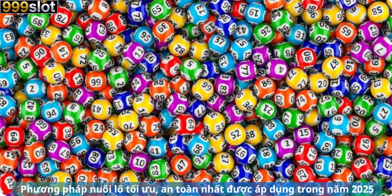 Phương pháp nuôi lô tối ưu, an toàn nhất được áp dụng trong năm 2025